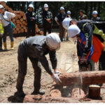 ”秦野の山で伐採体験” タウンニュースに掲載されました